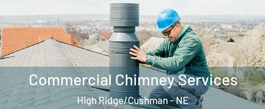 Commercial Chimney Services High Ridge/Cushman - NE