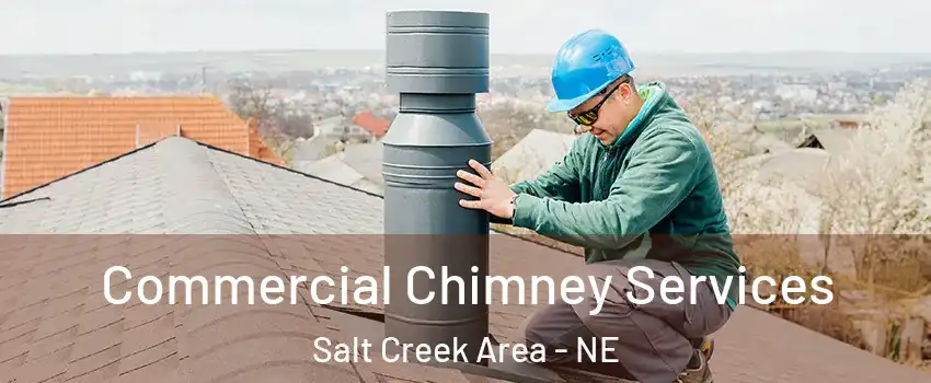 Commercial Chimney Services Salt Creek Area - NE