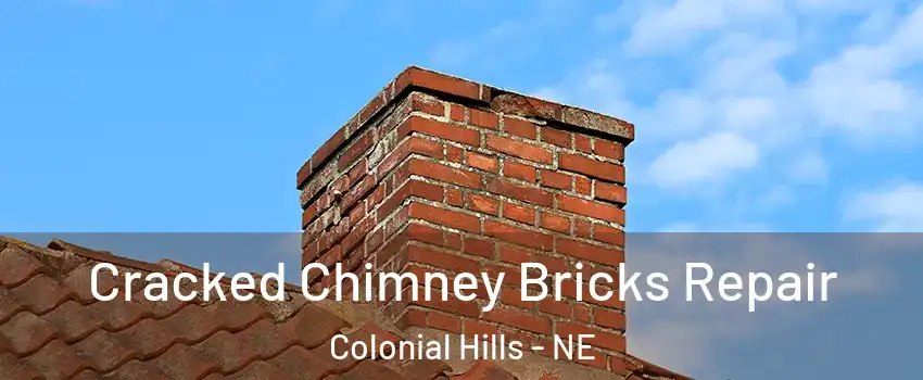 Cracked Chimney Bricks Repair Colonial Hills - NE