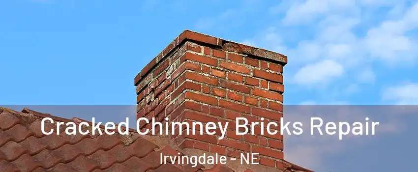 Cracked Chimney Bricks Repair Irvingdale - NE