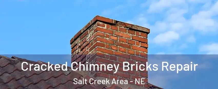 Cracked Chimney Bricks Repair Salt Creek Area - NE