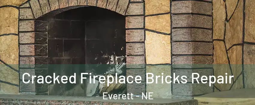 Cracked Fireplace Bricks Repair Everett - NE