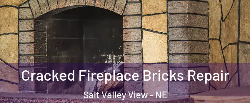 Cracked Fireplace Bricks Repair Salt Valley View - NE