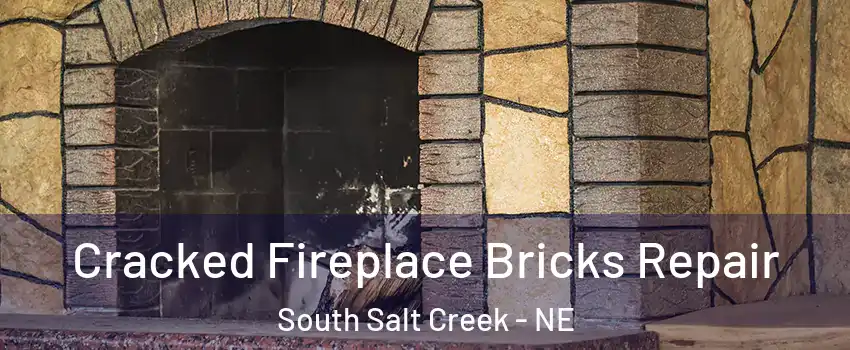 Cracked Fireplace Bricks Repair South Salt Creek - NE