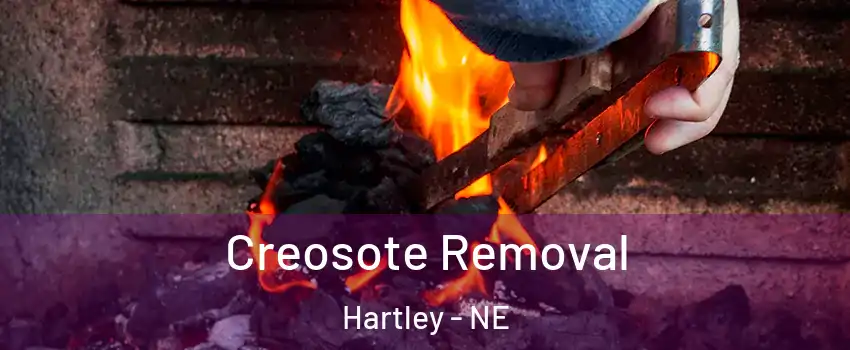 Creosote Removal Hartley - NE