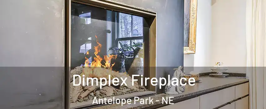 Dimplex Fireplace Antelope Park - NE