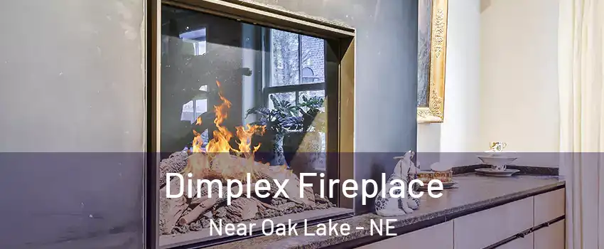 Dimplex Fireplace Near Oak Lake - NE