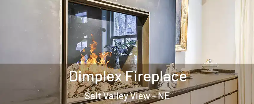 Dimplex Fireplace Salt Valley View - NE