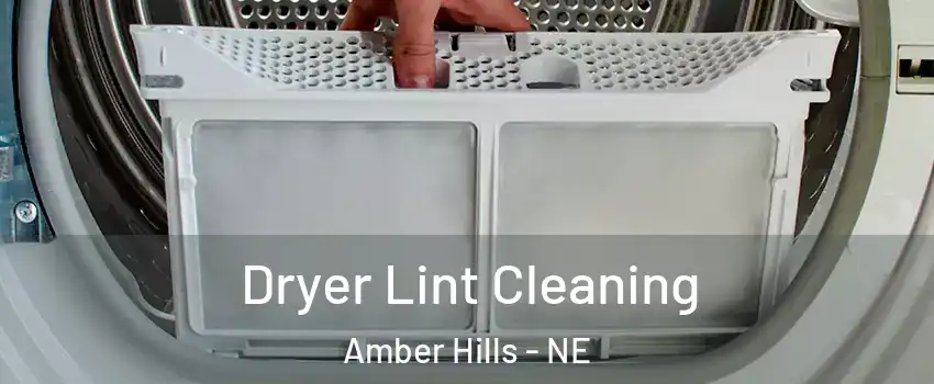 Dryer Lint Cleaning Amber Hills - NE