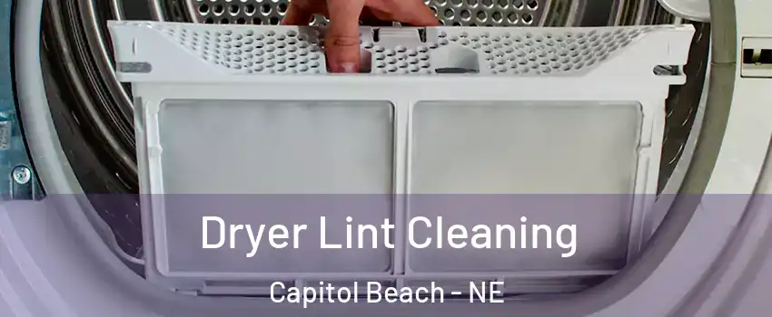 Dryer Lint Cleaning Capitol Beach - NE