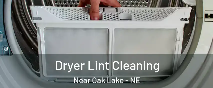 Dryer Lint Cleaning Near Oak Lake - NE