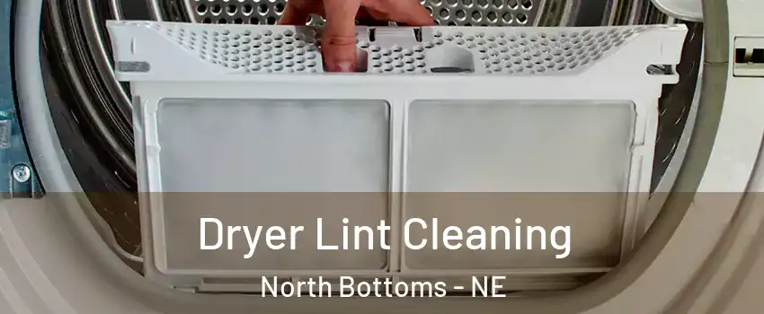 Dryer Lint Cleaning North Bottoms - NE