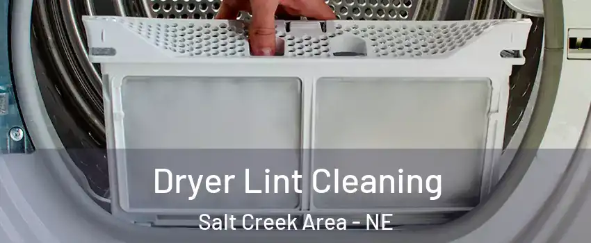 Dryer Lint Cleaning Salt Creek Area - NE