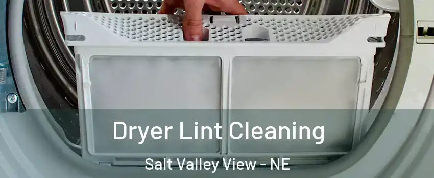 Dryer Lint Cleaning Salt Valley View - NE