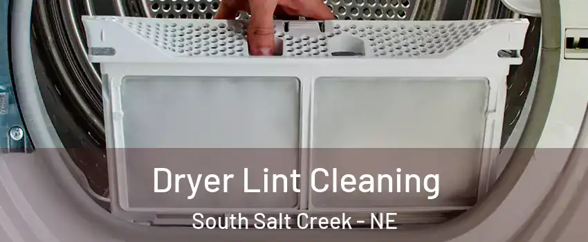 Dryer Lint Cleaning South Salt Creek - NE