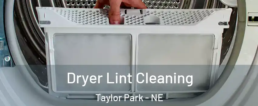 Dryer Lint Cleaning Taylor Park - NE