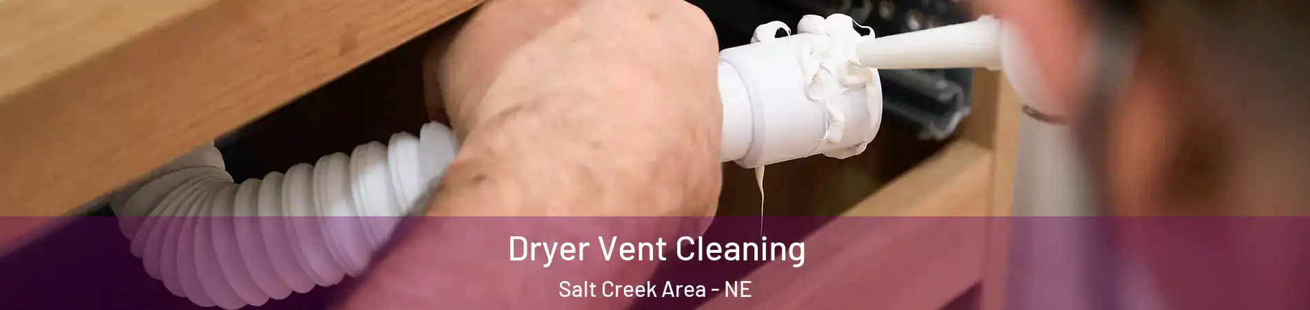 Dryer Vent Cleaning Salt Creek Area - NE