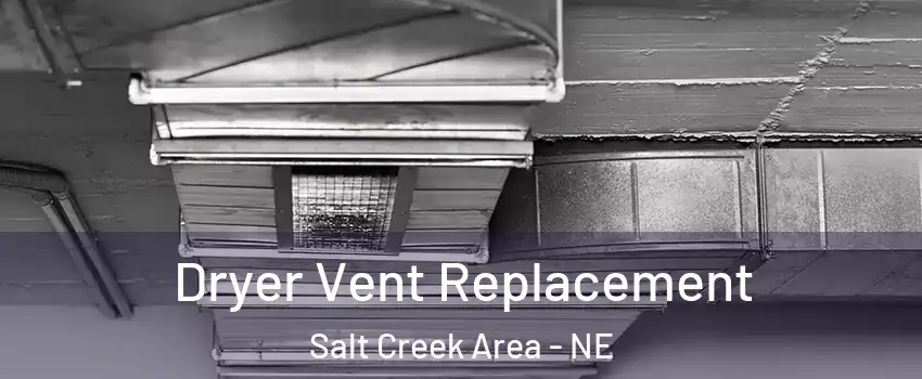 Dryer Vent Replacement Salt Creek Area - NE