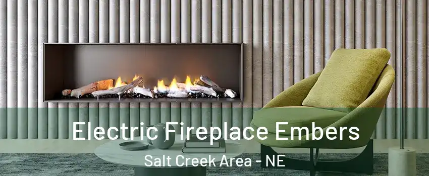 Electric Fireplace Embers Salt Creek Area - NE