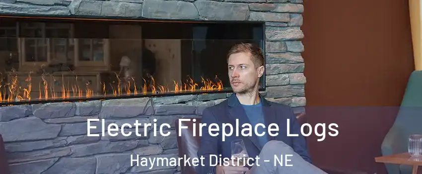 Electric Fireplace Logs Haymarket District - NE