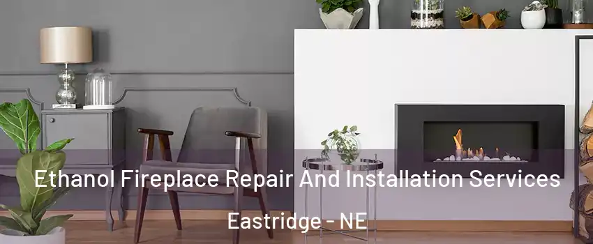Ethanol Fireplace Repair And Installation Services Eastridge - NE