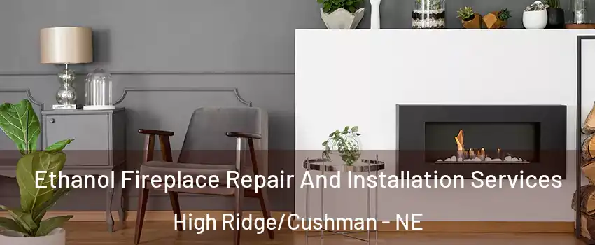 Ethanol Fireplace Repair And Installation Services High Ridge/Cushman - NE