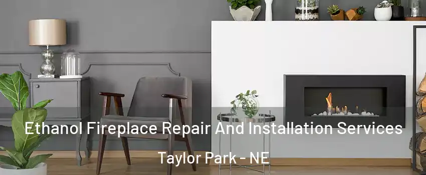 Ethanol Fireplace Repair And Installation Services Taylor Park - NE