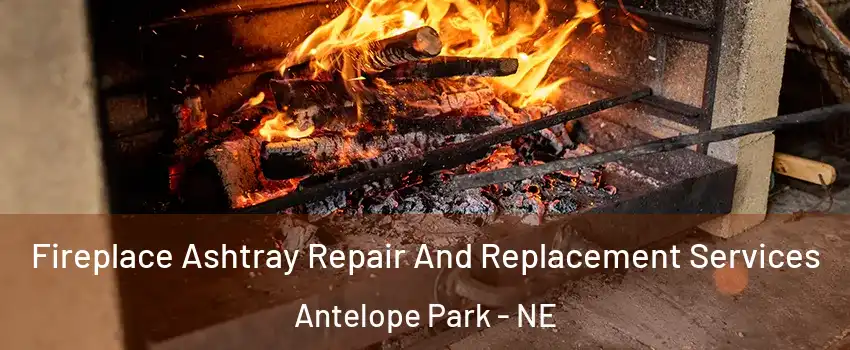 Fireplace Ashtray Repair And Replacement Services Antelope Park - NE