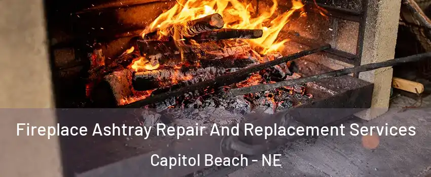 Fireplace Ashtray Repair And Replacement Services Capitol Beach - NE