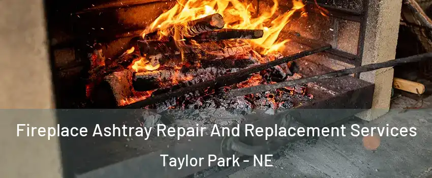 Fireplace Ashtray Repair And Replacement Services Taylor Park - NE