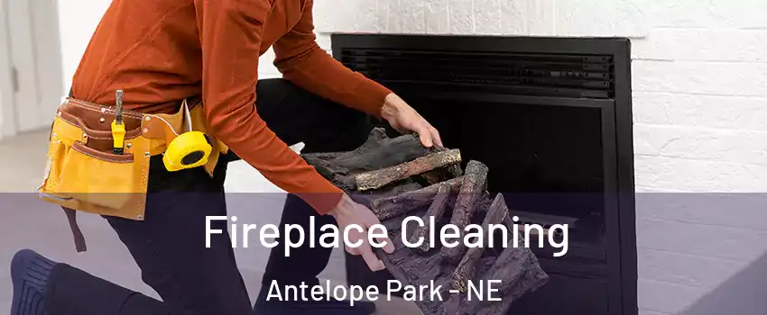 Fireplace Cleaning Antelope Park - NE