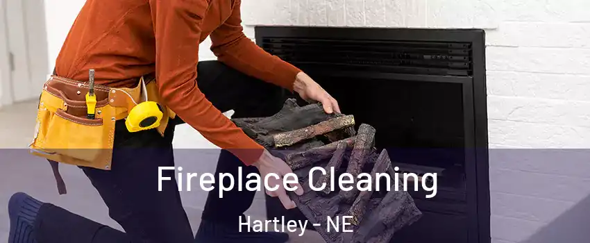 Fireplace Cleaning Hartley - NE