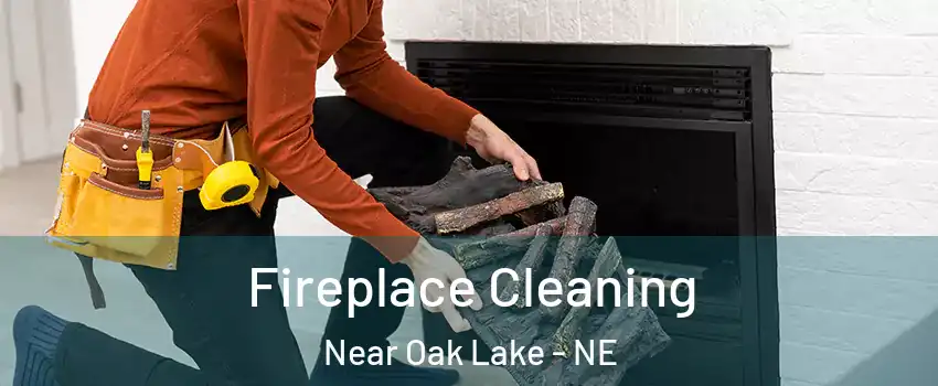 Fireplace Cleaning Near Oak Lake - NE