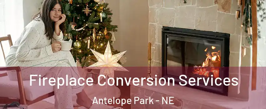 Fireplace Conversion Services Antelope Park - NE