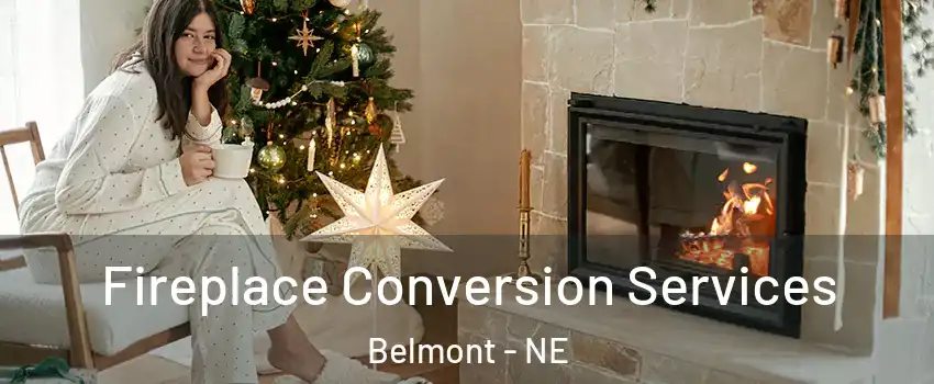 Fireplace Conversion Services Belmont - NE