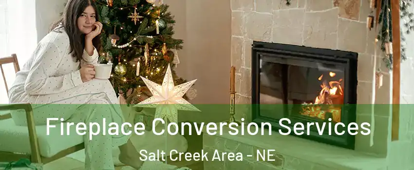 Fireplace Conversion Services Salt Creek Area - NE