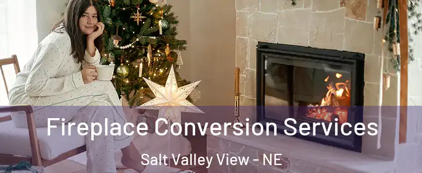 Fireplace Conversion Services Salt Valley View - NE