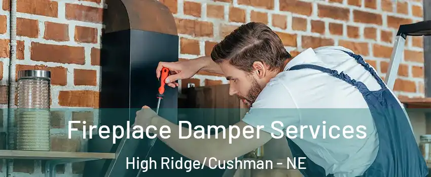 Fireplace Damper Services High Ridge/Cushman - NE