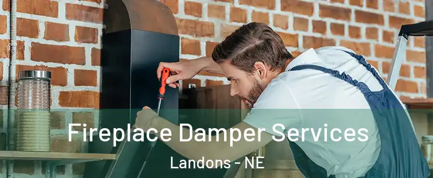 Fireplace Damper Services Landons - NE