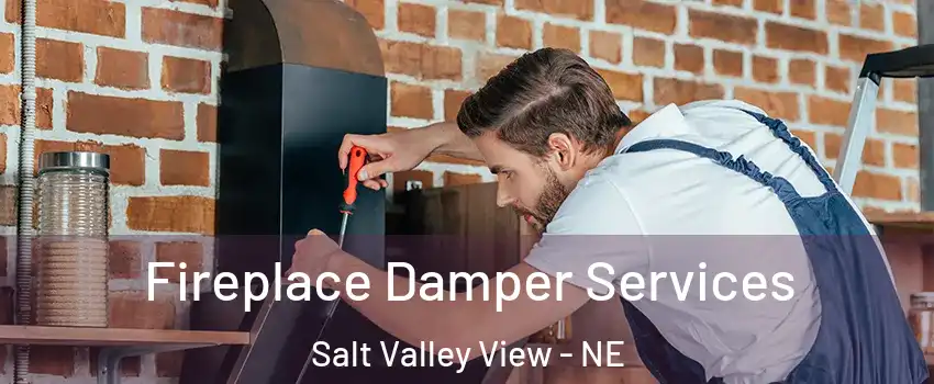 Fireplace Damper Services Salt Valley View - NE