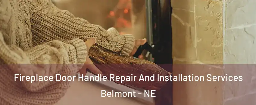 Fireplace Door Handle Repair And Installation Services Belmont - NE