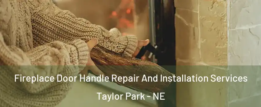 Fireplace Door Handle Repair And Installation Services Taylor Park - NE