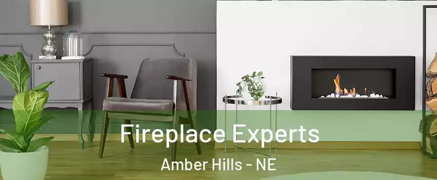 Fireplace Experts Amber Hills - NE