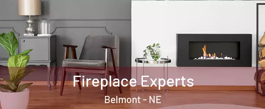 Fireplace Experts Belmont - NE