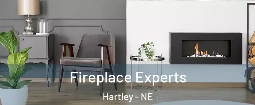 Fireplace Experts Hartley - NE