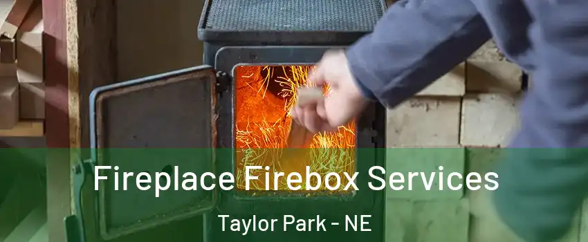 Fireplace Firebox Services Taylor Park - NE
