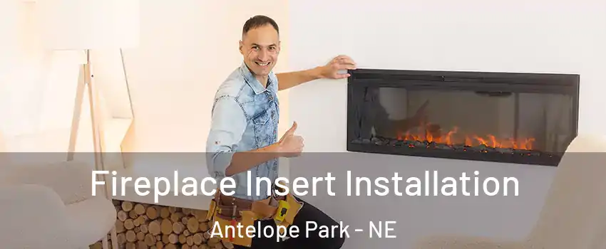 Fireplace Insert Installation Antelope Park - NE