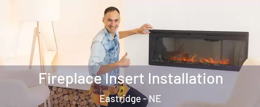 Fireplace Insert Installation Eastridge - NE