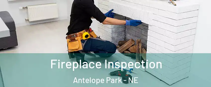 Fireplace Inspection Antelope Park - NE