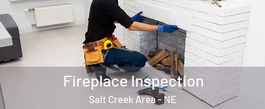 Fireplace Inspection Salt Creek Area - NE